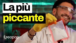 16 milioni di punti nella scala Scoville abbiamo assaggiato la capsaicina pura ed è piccantissima [upl. by Concettina]