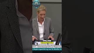 Alice Weidel  Dieselhysterie und Handelskonflikt Gefahr für die Automobilindustrie [upl. by Hsirk604]