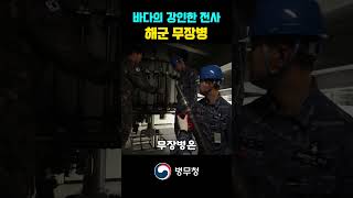 해군 무장장비를 정비합니다  해군 무장병 [upl. by Amehr678]