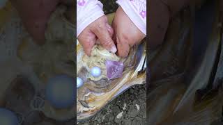 😱😱Giant clams breathtakingly beautiful pearls [upl. by Enram]