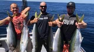 Kingfish Charter Terrigal MidWeek [upl. by Ilam]