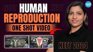 Human Reproduction Class 12 One Shot  All Theory Tricks amp PYQs  NEET 2024 Biology  Ritu Rattewal [upl. by Nessah]