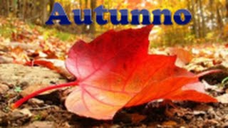 Antonio Vivaldi Le quattro stagioni Autunno 4 season Autumn Photo Gallery HD [upl. by Jacobo]