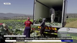 HSRC  Food insecurity in KZN [upl. by Willmert]