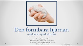 MOTION FÖR HJÄRNAN 2017 [upl. by Johansen221]