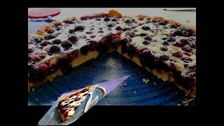 Schnippelboy  Blaubeerkuchen [upl. by Oaht667]