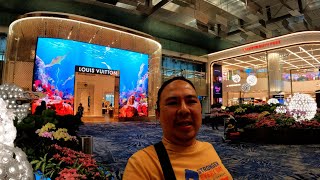 A worldclass Stopover Singapore Airport [upl. by Dyolf]