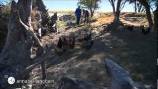 A Good Egg extra footage The Free Range Cook series one [upl. by Drahcir75]