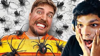 100 SPIDERS vs MAN scary challenge [upl. by Lenee847]