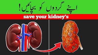 Follow 6 step to save your kidneyskidney diseaseskidney problemskidney failure [upl. by Robi976]