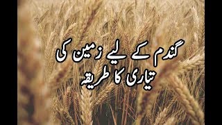 How to Prepare Land for Wheat Crop in Pakistan Wheat Production [upl. by Elkcim698]