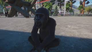 planet zoo ON FAIS LE TOUR DES PRIMATES NOS SENBLABLE [upl. by Annekim447]