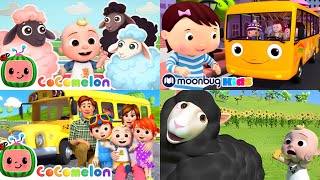 Baa Baa Black Sheep  Twinkle Twinkle Little Star  Wheels On The Bus  Fun Cocomelon Nursery Rhymes [upl. by Koser409]