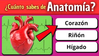 ¿Puedes GANAR este DESAFÍO de Anatomía  Test rápido  🤓🤯 [upl. by Jea]