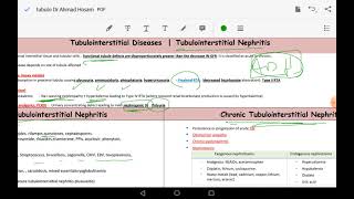 Tubulointerstitial disease  DR ahmad hosam [upl. by Dewayne162]