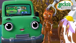 Mud Trouble in Trevors Maze  Geckos Garage 🚚  Cartoons For Kids  Toddler Fun Learning [upl. by Ahsiket]