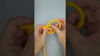 How To Tie Perfection Loop Knot [upl. by Papst889]