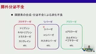 佐藤 雅彦先生の「ジェネラリストが知っておくべき内科疾患を総ざらい」 第15回 猫の慢性消化器症状のアプローチ [upl. by Ocire]