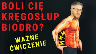 BÓL KRĘGOSŁUPA  BÓL BIODRA  ćwicz pośladkowy średni  dr n Marcin Wytrążek [upl. by Neda]