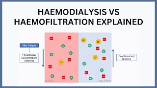 Haemodialysis vs Haemofiltration Explained [upl. by Ahar]