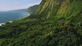 macOS Sonoma wallpaperscreensaver collection the coastline of Hawaii [upl. by Aikemal]