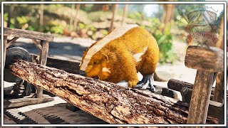 This Beaver Does A Very Important Job In Our Base  Ark Survival Ascended Episode 5 [upl. by Ileek]