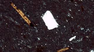 Porphyritic Rhyolite Crossed Polars [upl. by Violante]