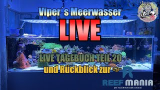 Geschnittene Version Viper´s Meerwasser LIVE Das Shallow Tagebuch Teil 20 [upl. by Kabob]