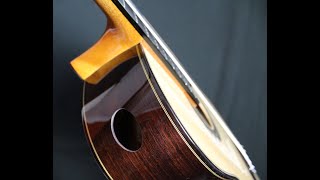 William Falkiner Lutherie Double Top [upl. by Ojadnama]