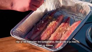 Vi laver røget makrel på dancook grillen  Smoked Mackrel Recipe DANISH V2 [upl. by Ahsinnek722]