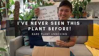 Rare Plant Haul amp Unboxing From Facebook  A Special Unique Houseplant  vlog 5 [upl. by Eedna]