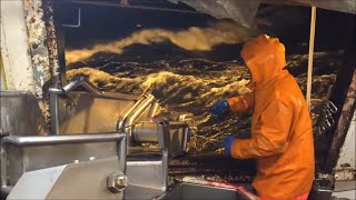 Longline fishing in Norway HD [upl. by Proudfoot215]