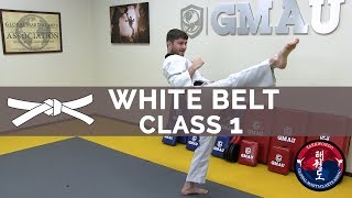 Taekwondo Follow Along Class  White Belt  Class 1 [upl. by Enomas691]