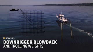 Downrigger Weight Size When Experiencing Blowback [upl. by Lerred445]