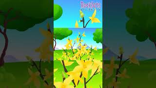 Forsythia  Spring Flowers educationalvideo flowers spring [upl. by Abdu]