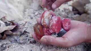 Surprise citrine agate red crystal green crystal were excavated in the rocky area [upl. by Rena867]