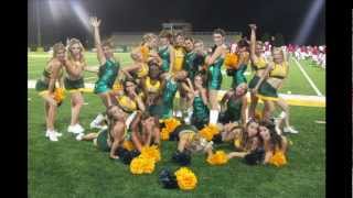 Arkansas Tech Cheerleading 2013 [upl. by Lanfri651]