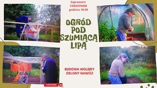 Codzienne życie na wsi  kończymy budowę woliery sieję zielony nawóz [upl. by Lrat]