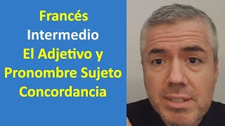 Adjetivo y Pronombres Sujeto en Francés Clase Francés Intermedio [upl. by Dwane]