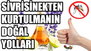 Sivrisineklerden Kurtulmanın 10 Doğal Yolu [upl. by Ainahs]