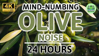 Mindnumbing Olive Green Noise  24 Hours  BLACK SCREEN  Study Sleep Tinnitus amp Arthritis Relief [upl. by Gilles896]