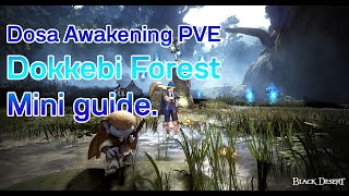 Dosa Awakening PVE Dokkebi Forest Mini guide  Black Desert [upl. by Nyltac]