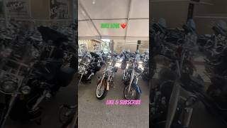 Biker Paradise at Biketober Fest bike bikelife harleydavidson baggernation biketoberfest2024 [upl. by Graf405]