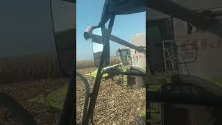 Работа agrotech ukraine farming agro shorts automobile [upl. by Atarman382]