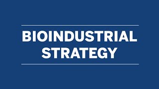 bioMérieux  Our bioindustrial strategy [upl. by Winterbottom]