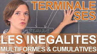 Pourquoi les inégalités sont multiformes et cumulatives   SES  Terminale  Les Bons Profs [upl. by Assitruc751]