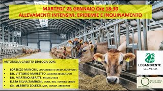 ALLEVAMENTI INTENSIVI EPIDEMIE E INQUINAMENTO [upl. by Dodge]