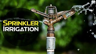 Sprinkler Irrigation System  How Does It Works  Discover Agriculture [upl. by Toombs]