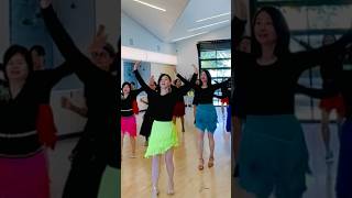 A Little Shiver Line Dance dance linedancers [upl. by Aurore]