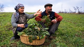 Harvesting Edible Winter Herbs for a Delicious Pie [upl. by Eberle]